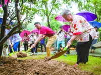 省茶花协会总部将设在佛山