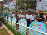 汤少明到“全国科普教育基地”广东盈香生态园调研