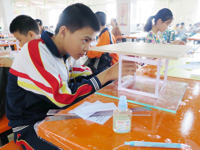 佛山市举办青少年建筑模型比赛