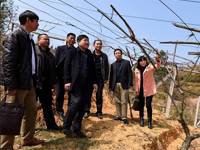 江西省信丰县科技局到河源市和平县科协学习交流