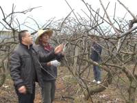 河源市和平县科协组织科技人员送科技下乡