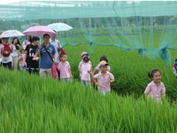 江门市农科所科普示范基地举办“六一”国际儿童节科普欢乐行活动