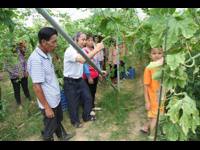 茂名市科协深入农村举办“整合创新资源、提升农业产业体系”专题培训