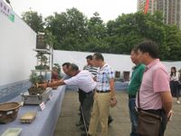 惠州市惠阳区科协看望盆景协会参展会员