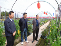 惠州市惠阳区科协到四季绿公司调研