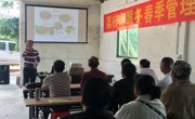 阳江市科协举办荔枝栽培实用技术培训班
