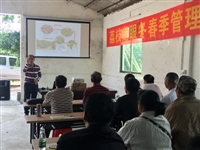 阳江市科协举办荔枝栽培实用技术培训班