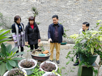 肇庆市科协调研基层党建“书记项目”建设工作