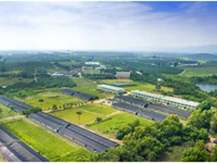 江门市林业和园林局实施纲要助力创森红岭同行打造科普教育基地