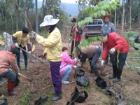 江门市林学会为“创森”添新绿组织会员单位开展春季植树活动