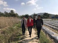 茂名市电白区华宝种养专业合作社科普示范基地挂牌成立