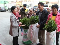 茂名市2017文化科技卫生“三下乡”活动启动
