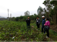 江门市林学会开展送林业技术下基层走进良西镇开展技术服务活动