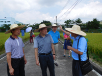 惠州市惠阳区科协到区农科中心调研