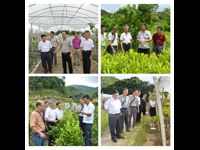 肇庆市科协开展“基层科普行动计划”项目专家验收调研