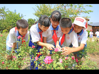 梅州市启动全国科普日活动