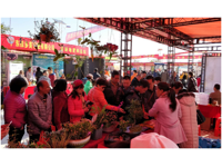 江门市林学会参加全省农业“三下乡”传播林业和园林科技活动