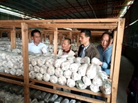 河源市科协领导率队到东源县调研科普中国e站建设情况