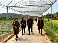 和平县科协赴江西省全南县科协交流学习