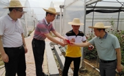 惠州市惠阳区科协到六谷裕兴基地调研