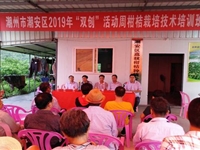 潮州市科协举办2019年“双创”活动周柑桔栽培技术培训活动