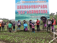 肇庆市科协、肇庆市科技局组织开展2020年送科技下乡活动