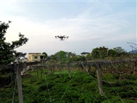 和平县科协组织开展猕猴桃飞防植保服务