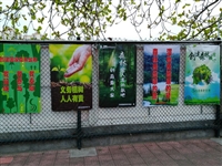 饶平县科协开展“创森”科普宣传活动