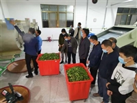 饶平县科协委员履职尽责 助力复工复产