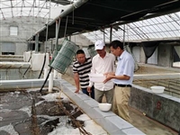 潮州市饶平县科协选树先进典型，营造尊重科技工作者氛围