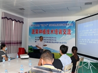 肇庆市科协开展“科技下乡”暨蔬果种植技术培训交流活动