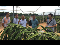 广东省科学家遂溪行科技志愿服务活动举行