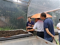 江门市科协深入大沙镇开展“我为群众办实事”调研实践活动