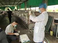 2021年揭阳市“最美科技工作者” 林俊伟事迹