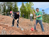 清远市连山县科协举办“全域增绿”义务植树主题党日活动