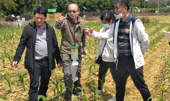 广东省昆虫学会秘书长赴三水、高州开展调研、指导