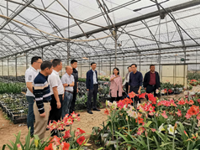 韶关乐昌市沙坪镇党政代表团到东莞开展结对帮扶交流活动