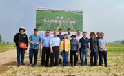 省药学会组织专家对湖北省中药材种植基地开展评估工作