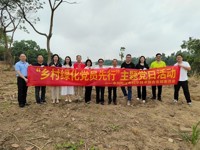 阳江市科协党支部开展乡村绿化植树活动
