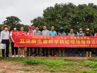 茂名市电白区科协邀请省农业科学院专家开展荔枝病虫害科学防控现场指导活动