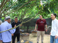 《南方日报》记者深入茂名市高州市考察采访蜜蜂产业