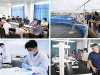 茂名市畜牧兽医学会开展罗非鱼产业调研活动