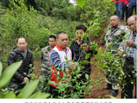 韶关市林学会开展送科技下乡活动