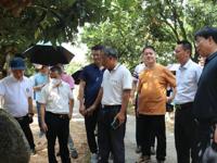 阳江阳西县科协到茂名高州市开展调研交流工作