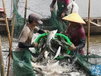 珠海市科协举办多场海洋养殖实用技能培训