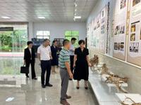 河源市科协领导到源城开展调研指导工作