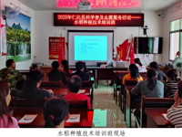 韶关市仁化县科协到长江镇木溪村“农村夜校” 举办水稻种植技术培训班