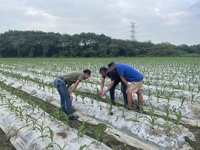揭阳市科协开展农业科技服务下乡活动