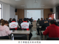 韶关市始兴县举办乡村振兴人才驿站李子种植技术培训活动