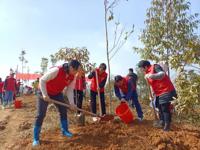 河源市和平县科协开展“绿美和平”植树活动